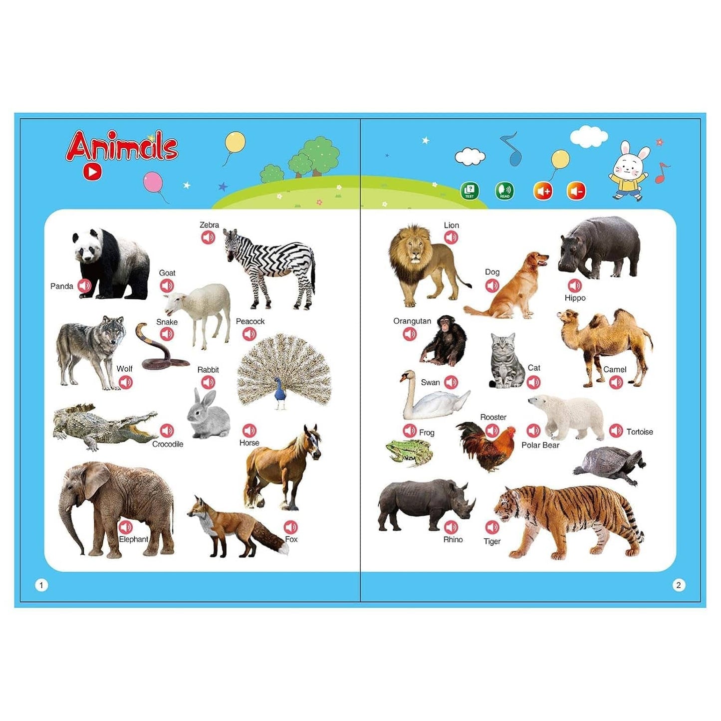 JAZZY PEARLS® English Sound Book Interactive English Learning Talking for Kids 3 Year Olds|Toys & Hobbies | Educational | Other Educational Toys