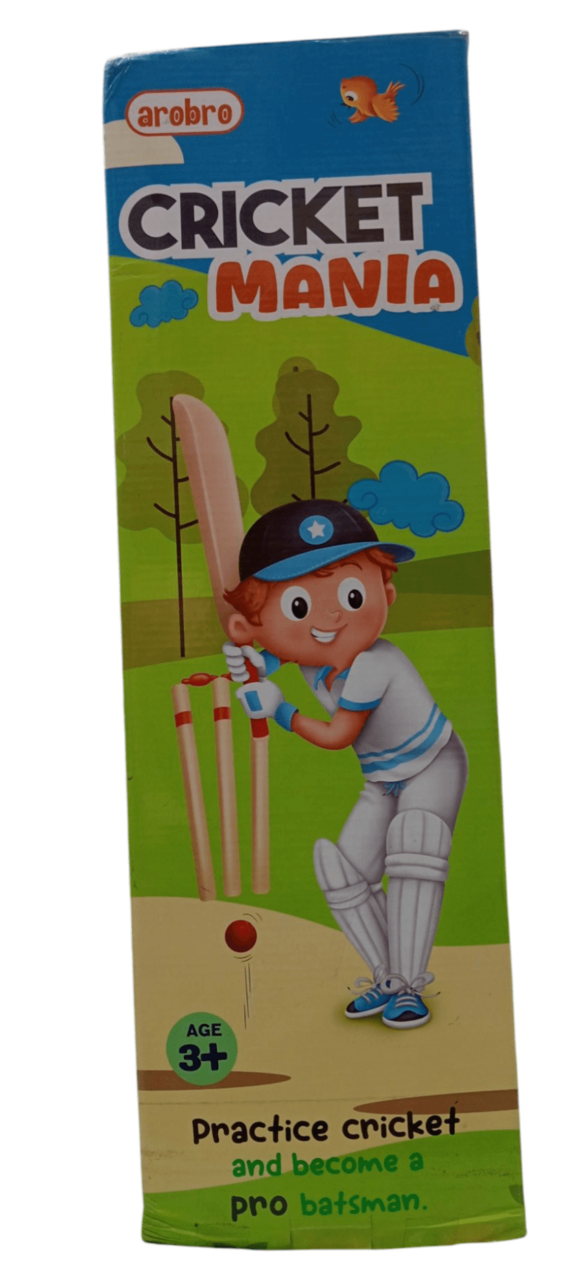 Cricket Mania cricket toy set for kids with cartoon batsman and stumps for ages 3 and up