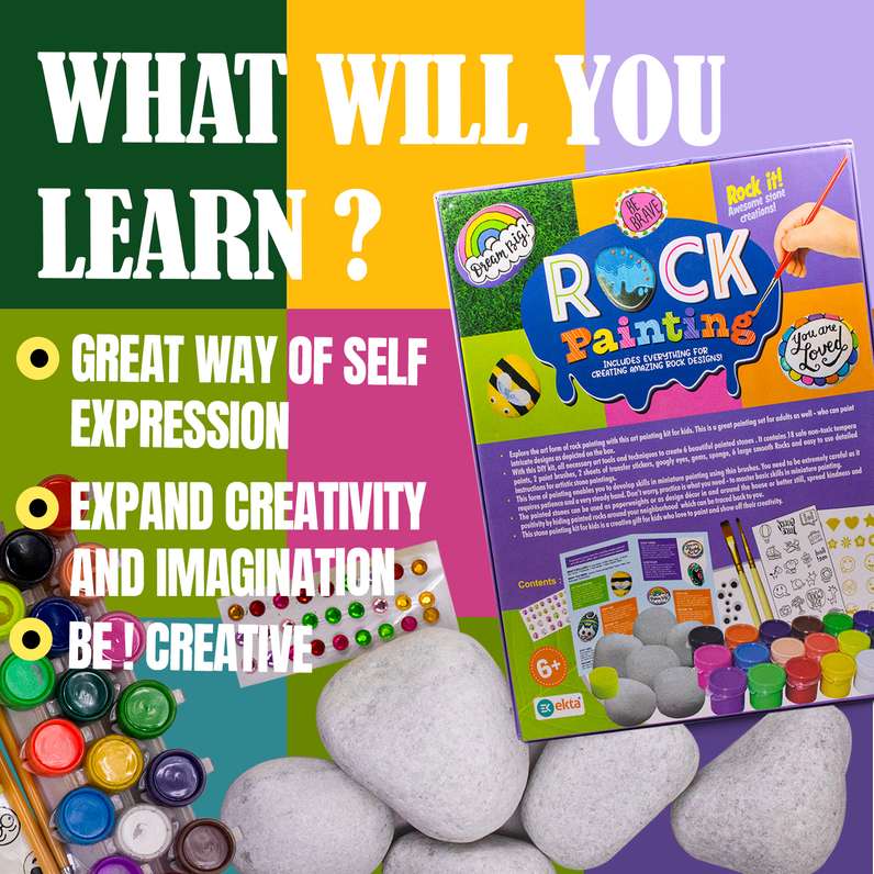 Rock painting kit for kids with colorful paints and smooth painting rocks from T-Rex the toyland Sitamarhi