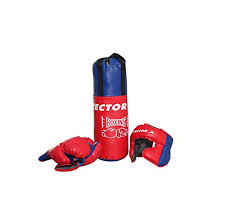 Red and blue boxing bag with gloves on a white background