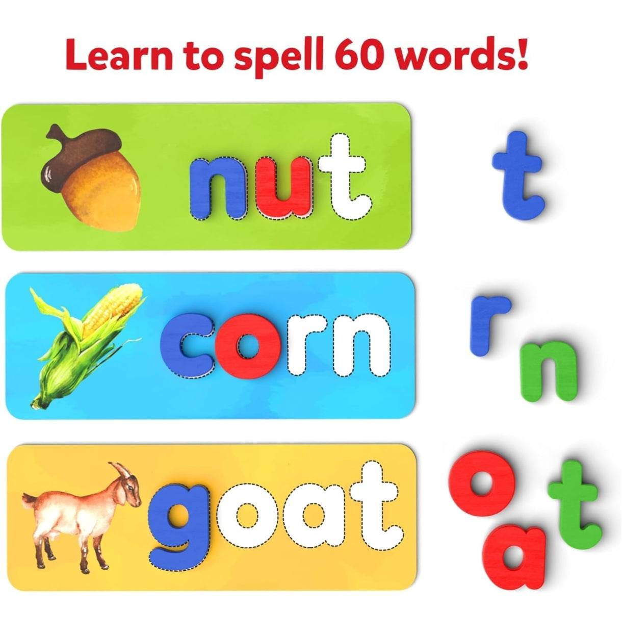 T-Rex the toyland Sitamarhi preschool spelling activity cards with colorful word puzzles for spelling 60 words