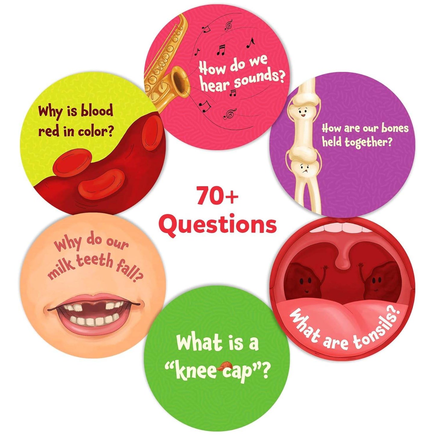 Human body flash cards for kids with colorful questions about blood, sounds, bones, teeth, knee cap, and tonsils