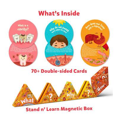 Human body flash cards for kids with colorful double-sided educational cards and a stand n learn magnetic box