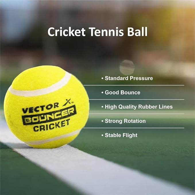 Vector X Wooden 1 Cricket bat + 3 Pcs. Wickets +1 Wicket base + 2 Bails +1 Tennis ball -with Carry Bag- Perfect for Outdoor Sports & Beach Play (Size: 6) for 12-15 Years Kids/Youth Cricket Kit - T-Rex the toyland Sitamarhi