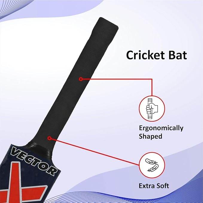 Vector X Wooden 1 Cricket bat + 3 Pcs. Wickets +1 Wicket base + 2 Bails +1 Tennis ball -with Carry Bag- Perfect for Outdoor Sports & Beach Play (Size: 6) for 12-15 Years Kids/Youth Cricket Kit - T-Rex the toyland Sitamarhi