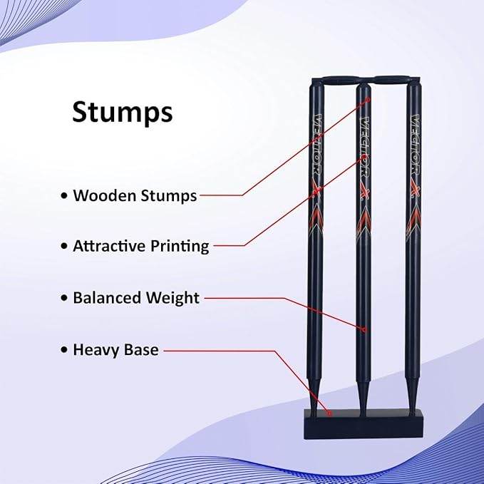 Vector X Wooden 1 Cricket bat + 3 Pcs. Wickets +1 Wicket base + 2 Bails +1 Tennis ball -with Carry Bag- Perfect for Outdoor Sports & Beach Play (Size: 6) for 12-15 Years Kids/Youth Cricket Kit - T-Rex the toyland Sitamarhi