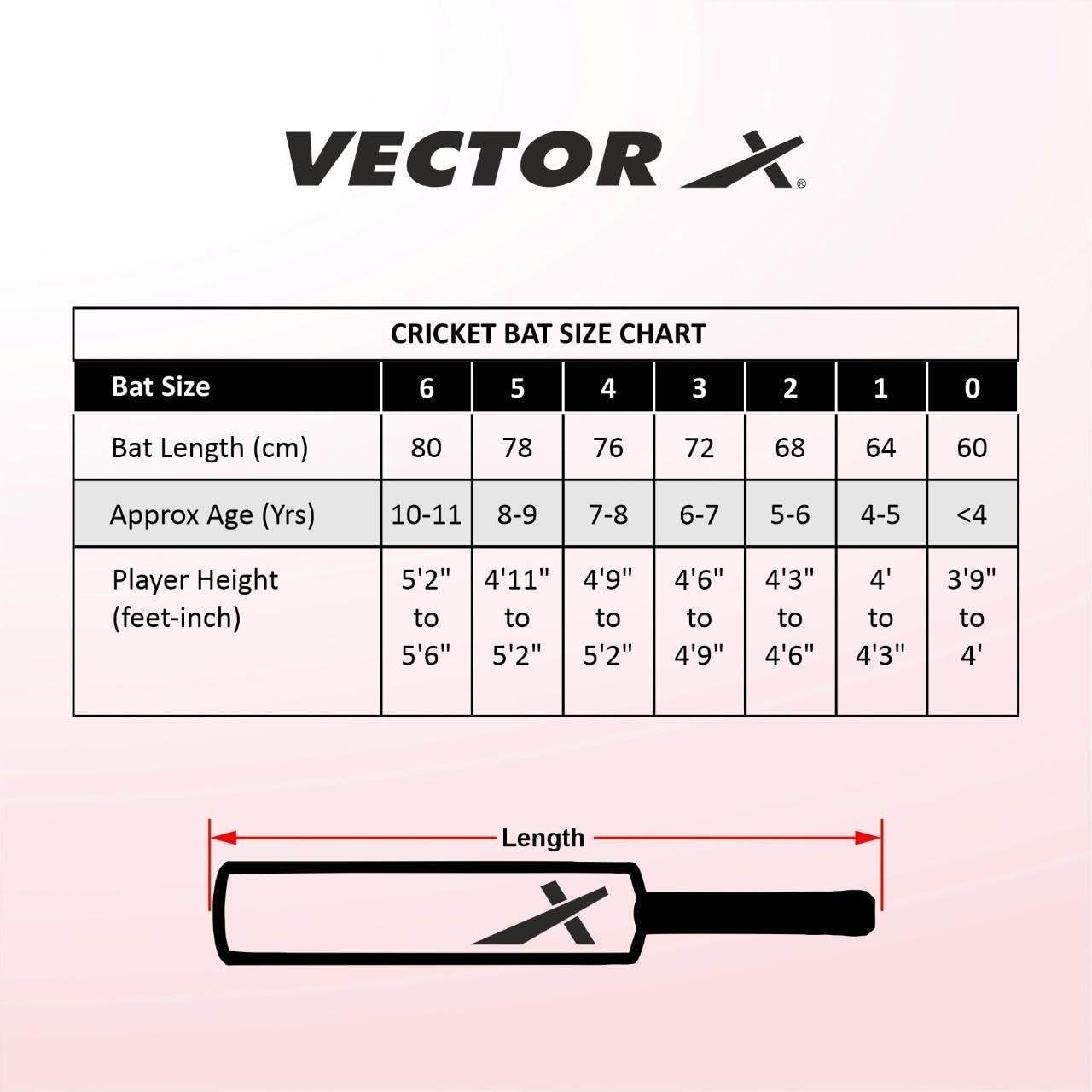 Vector X cricket bat size chart with bat lengths and player height for outdoor wooden cricket set for kids