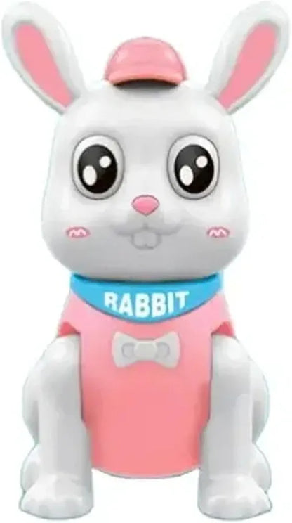 Lovely Jumping Rabbit