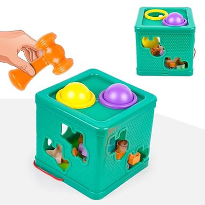 Ratna's Animals Shape Sorter with Hammering Fun Learning & Educational Toys for Babies & Toddlers