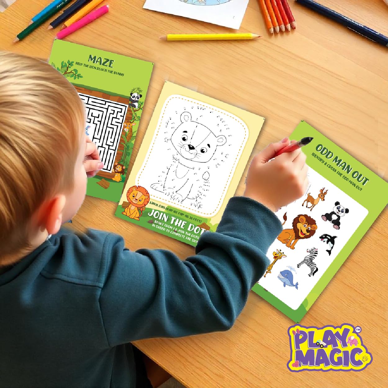 PlayMagic BrainActiv Ultimate Activity Kit - Animal Adventure