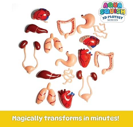 Human Organs Aqua Squish Kit | Make More Than 50 3D Soft and Squishy Human Organs | Magic Water Elf Gel Toys for Girls and Boys | 8 Human Organs Moulds | Ideal for Birthday Gift