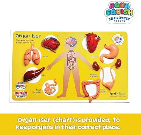 Human Organs Aqua Squish Kit | Make More Than 50 3D Soft and Squishy Human Organs | Magic Water Elf Gel Toys for Girls and Boys | 8 Human Organs Moulds | Ideal for Birthday Gift