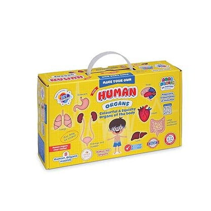 Human Organs Aqua Squish Kit | Make More Than 50 3D Soft and Squishy Human Organs | Magic Water Elf Gel Toys for Girls and Boys | 8 Human Organs Moulds | Ideal for Birthday Gift