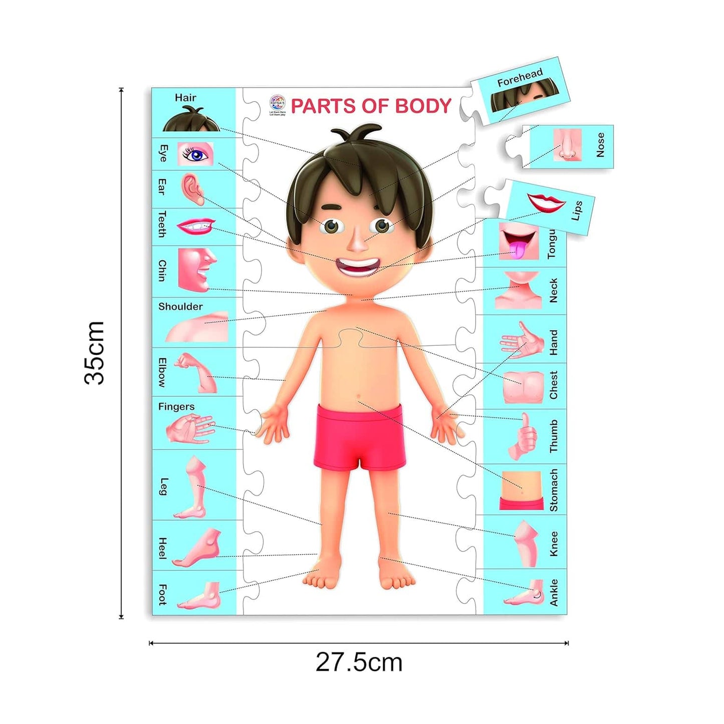 Ratna's Knowledge Bank - 1 Jigsaw Puzzle for Kids 3+
