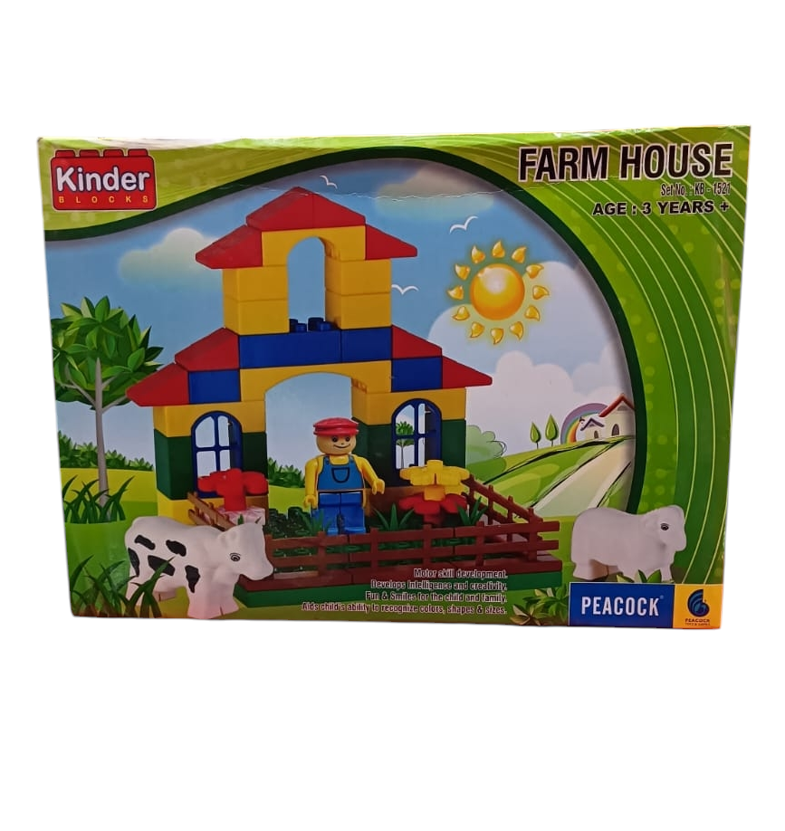 Peacock Kinder Blocks Farm House