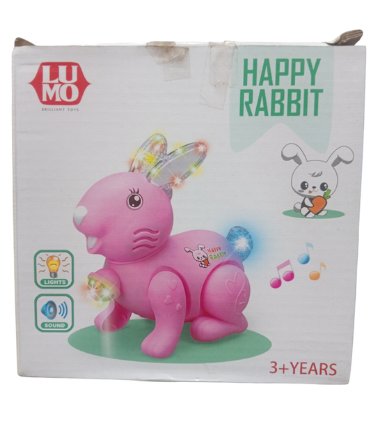 Happy Rabbit