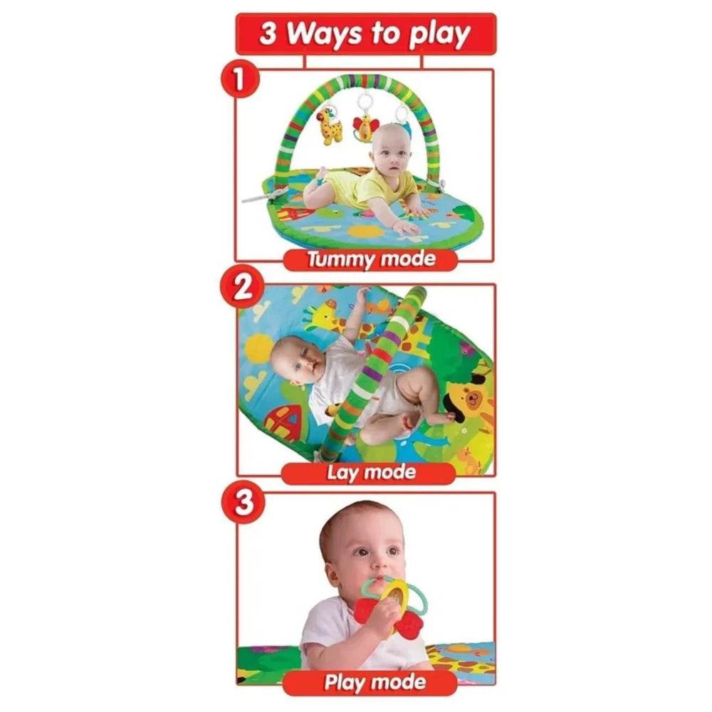 3-in-1 deluxe playgym in vibrant colors for infants featuring play mat newborn, tummy, lay, and play modes