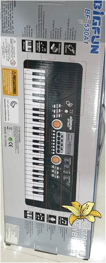 Bifun BR-530A1 kids piano keyboard multicolor with multiple function buttons and speaker