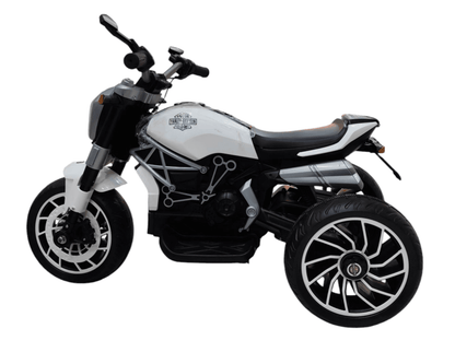 Kidz Auto KAB Y1600,12V Battery-Operated Ride-On Bike (3 Wheels) with Hand Accelerator,Foot Pedal Break, MP3/USB Port,Decorative Head Lights Electric... - T-Rex the toyland Sitamarhi