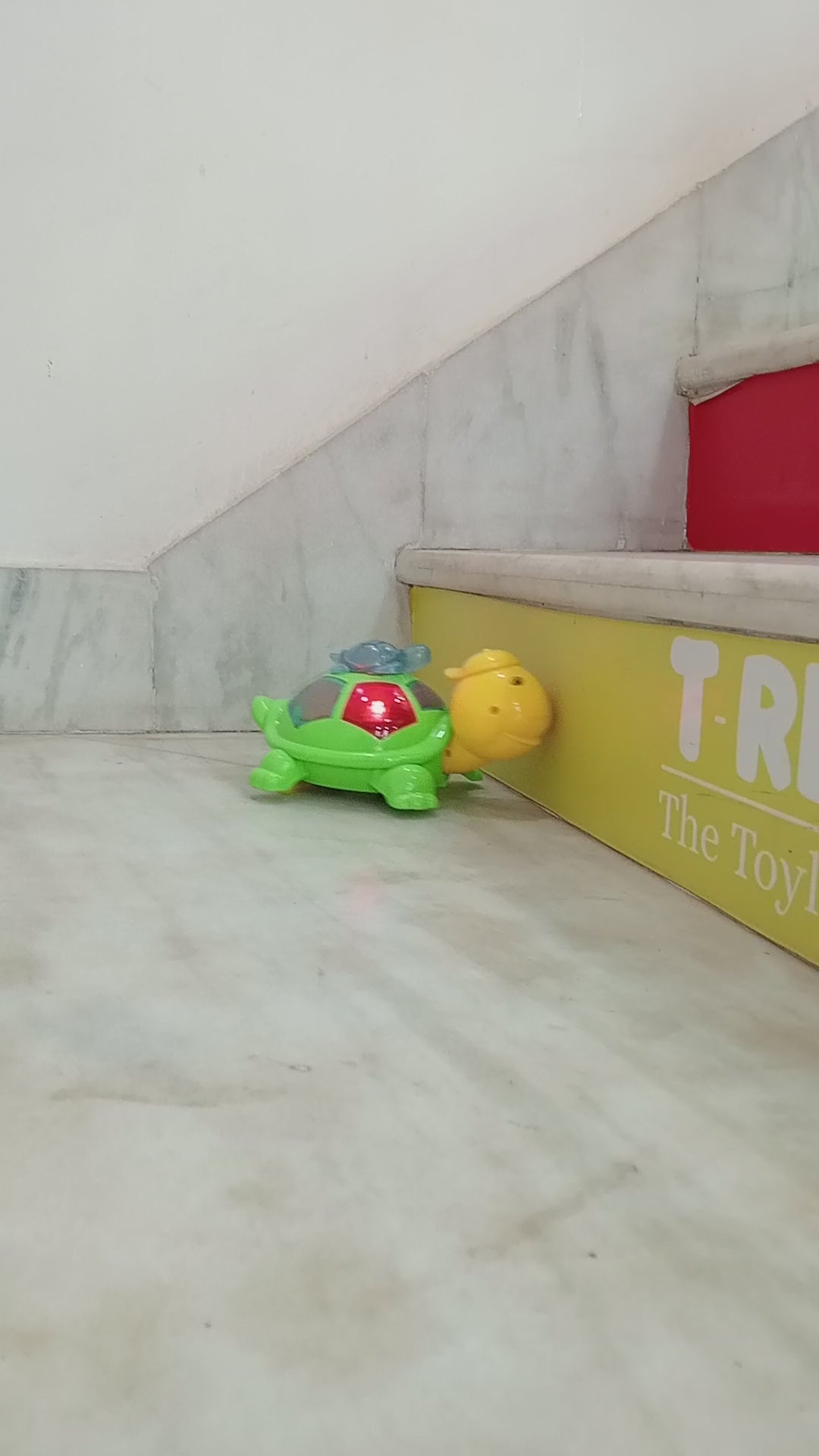 Toyzone Turtle Bump N Go Window demonstration video showing lights, music, and bump-and-go movement