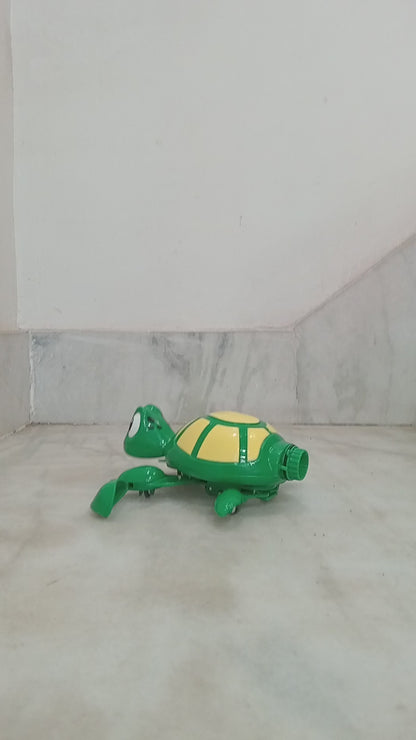 Rowan Swimming Turtle