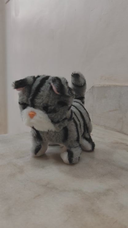 Zoe Walking Cat Walks, Meows, Wags its Tail, Fun & Interactive Soft Toy for Kids