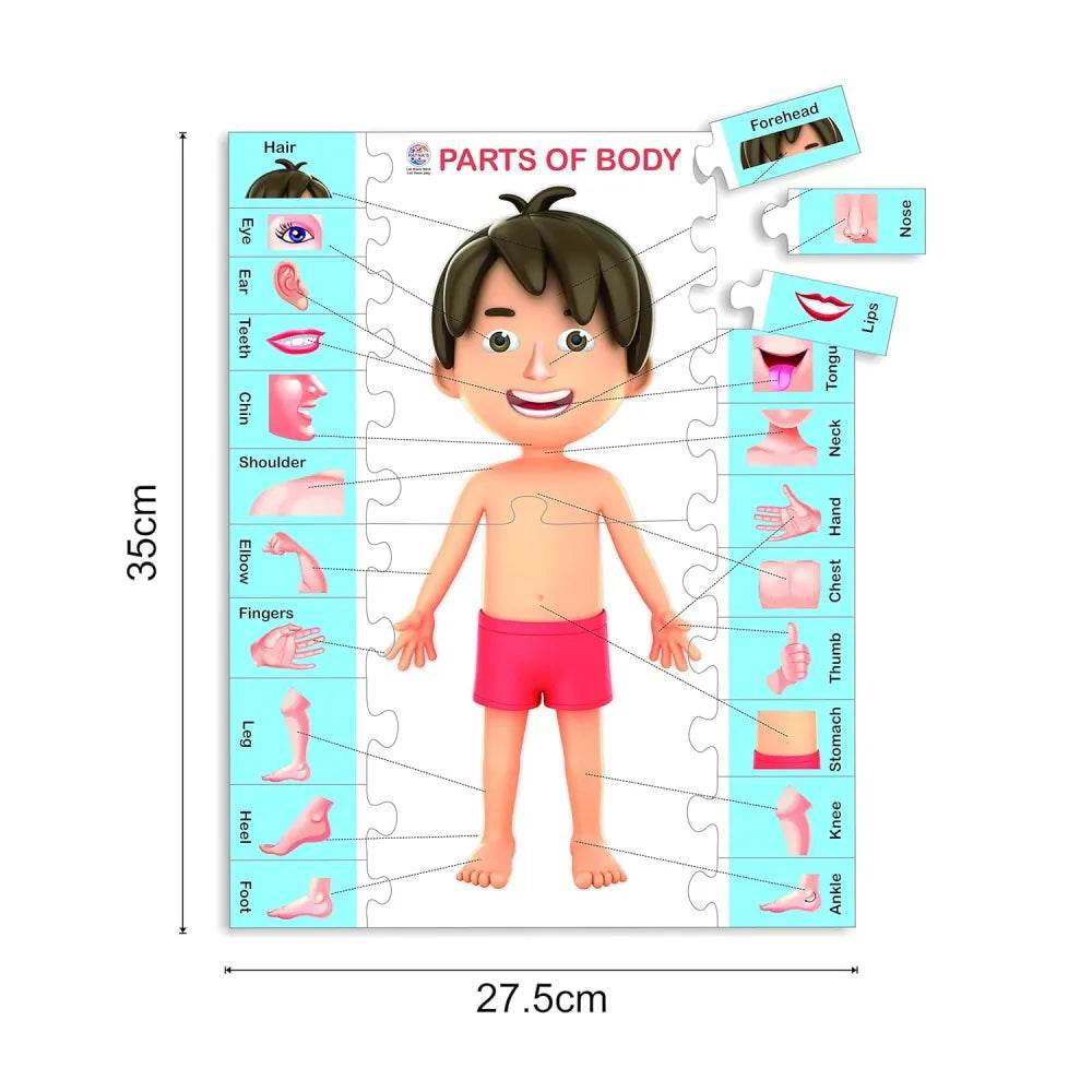 Ratna's Knowledge Bank - 1 Jigsaw Puzzle for Kids 3+ - T-Rex the toyland Sitamarhi