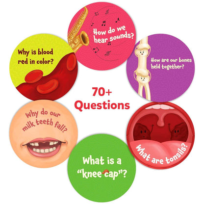Human body flash cards for kids with colorful questions about blood, sounds, bones, teeth, knee cap, and tonsils