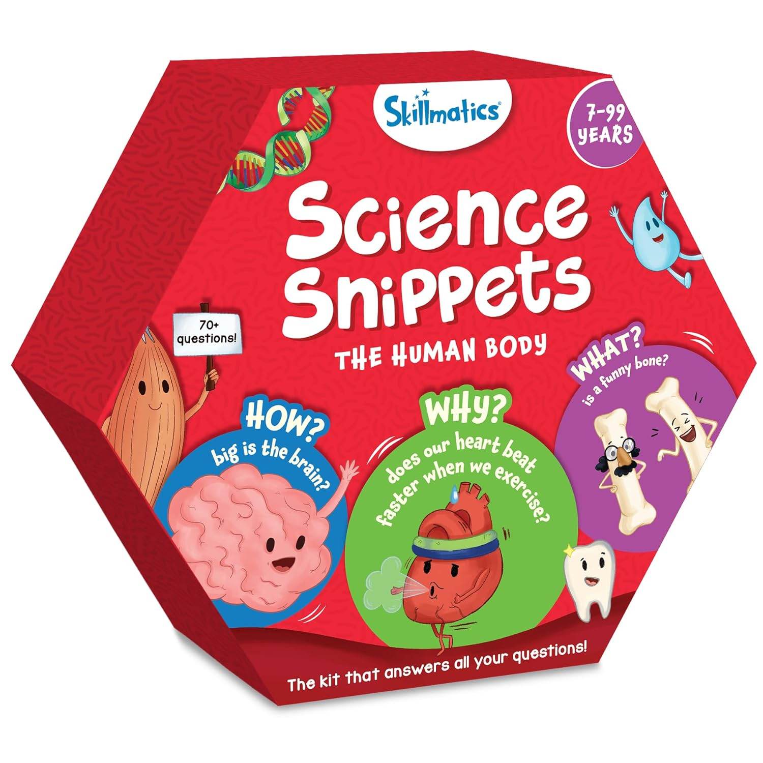 Science Snippets human body flash cards for kids with colorful illustrations and questions about the human body