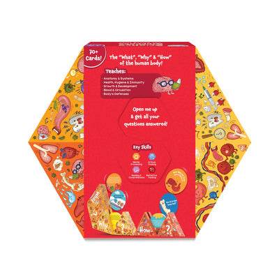 T-Rex the toyland Sitamarhi human body flash cards for kids with colorful anatomy illustrations