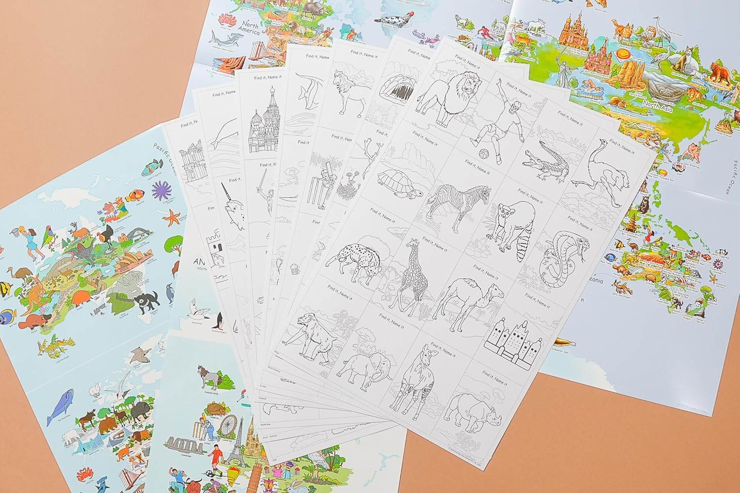 T-Rex the toyland Sitamarhi 2 in 1 color and play kit featuring detailed animal and world landmark coloring sheets